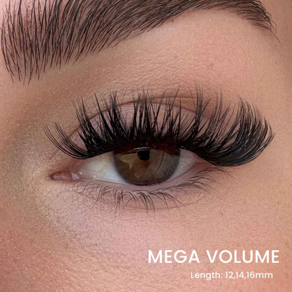 Lash Up - Product View 10